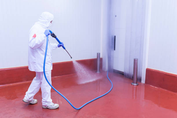 Trusted Chadwicks, NY Pressure Washing Services Experts